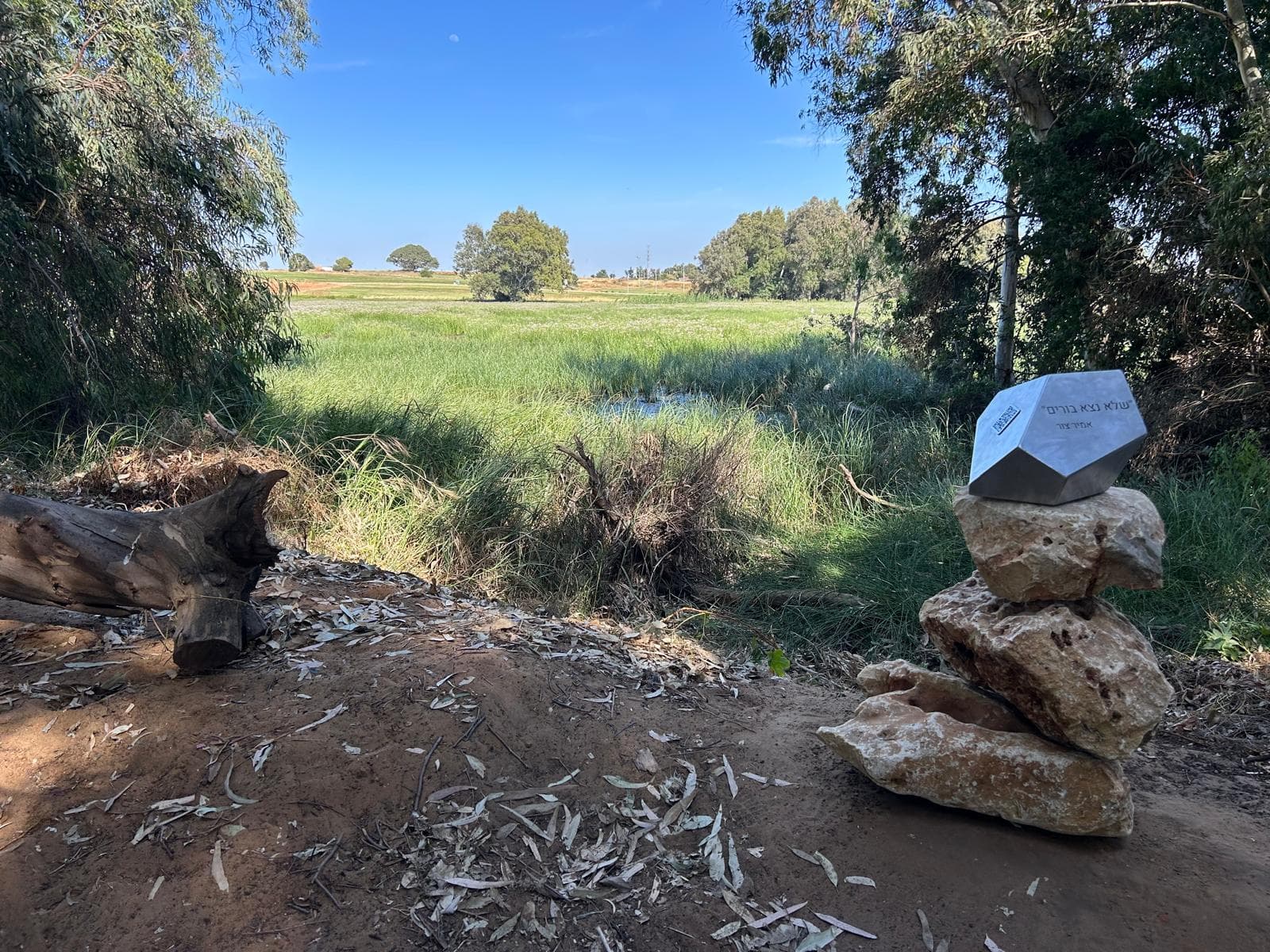 המחנה הגדול (געש) - בצל אמיר 2